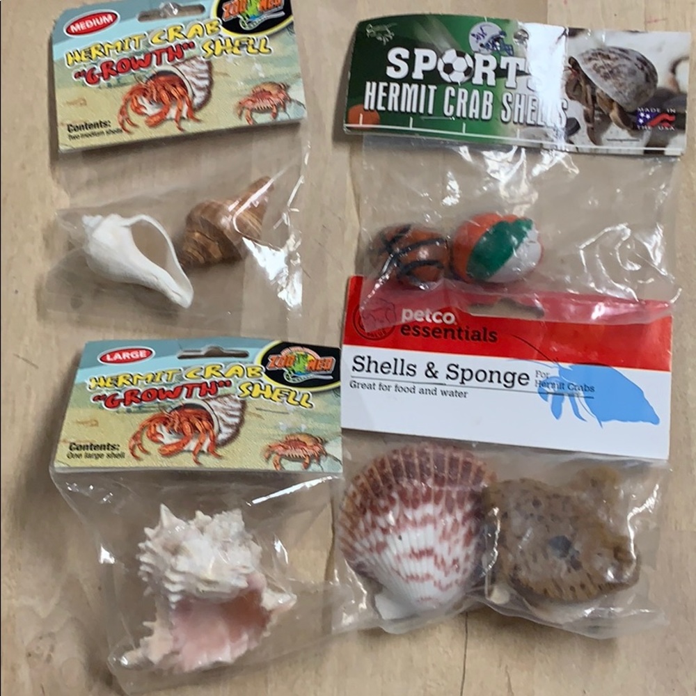 Hermit Crab Shells NWT